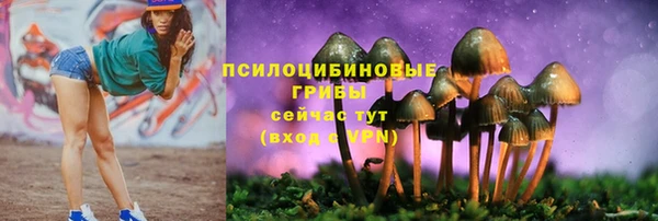мефедрон мука Каменск-Шахтинский