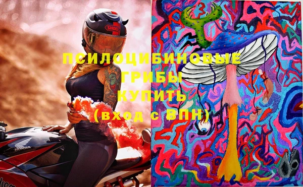 прущая мука Каменка