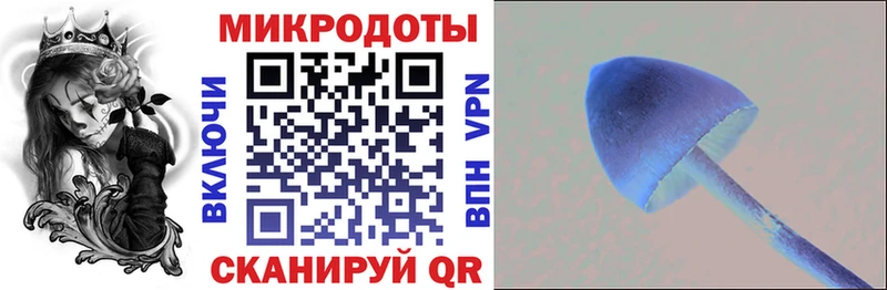Купить где  Чебаркуль  Псилоцибиновые грибы Cubensis 