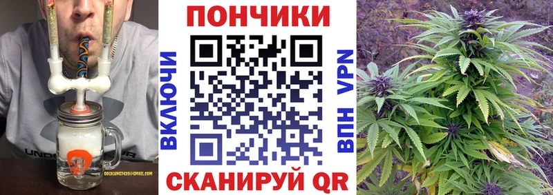 Купить закладки  Чебаркуль  Бошки марихуана планчик 